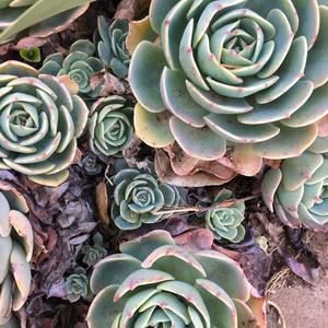 Meet your Posher, Justine